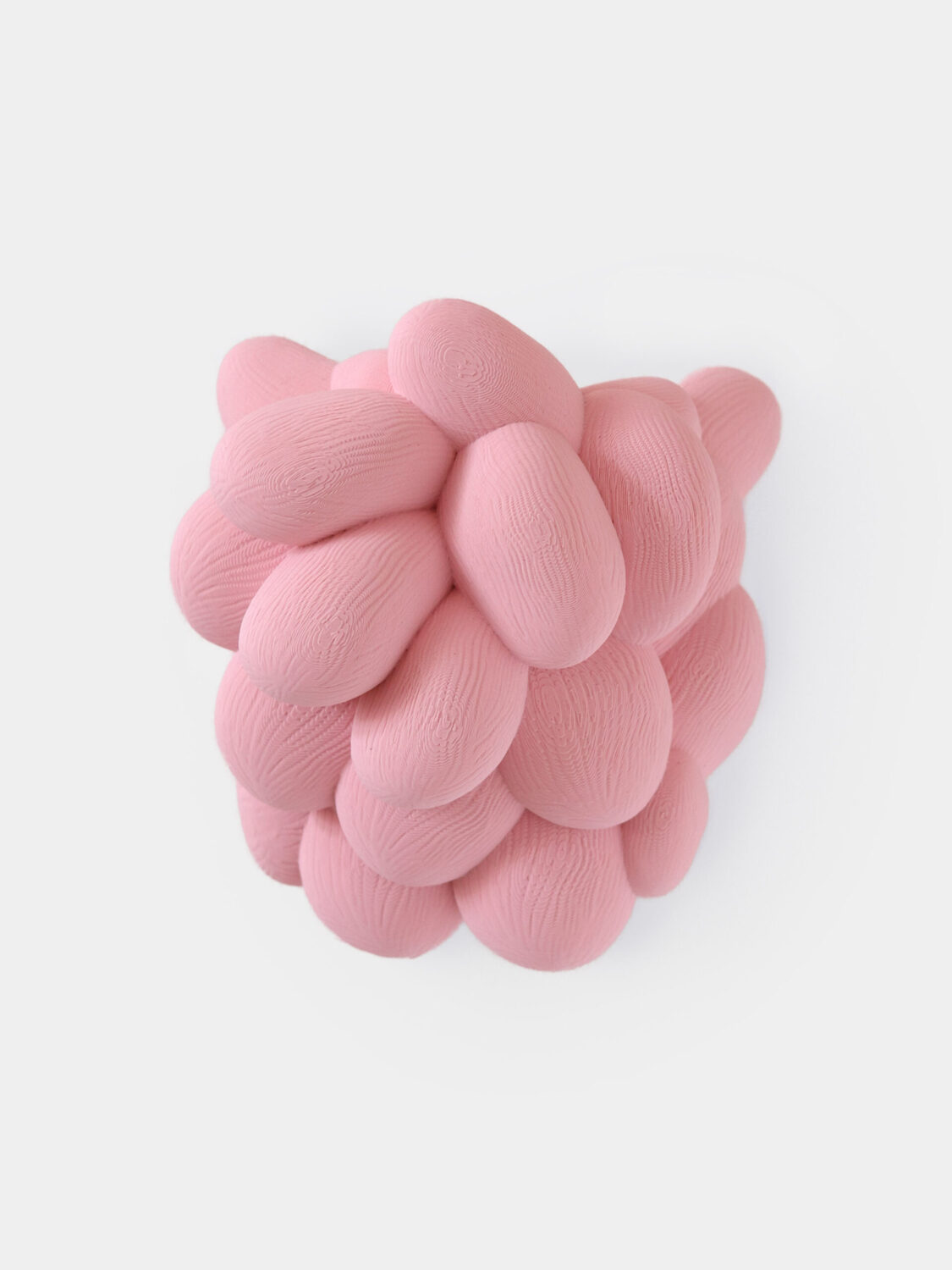 Bubble Coral