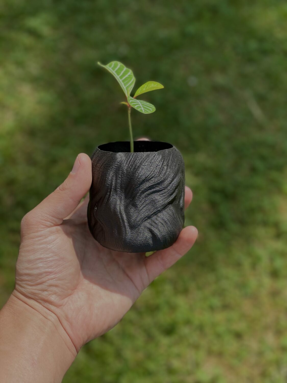 Hermes Planter