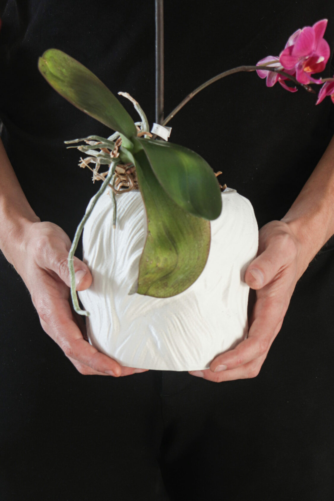 Hermes Planter