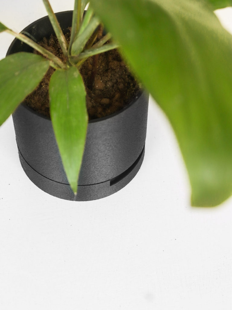 plantsomething-22-2
