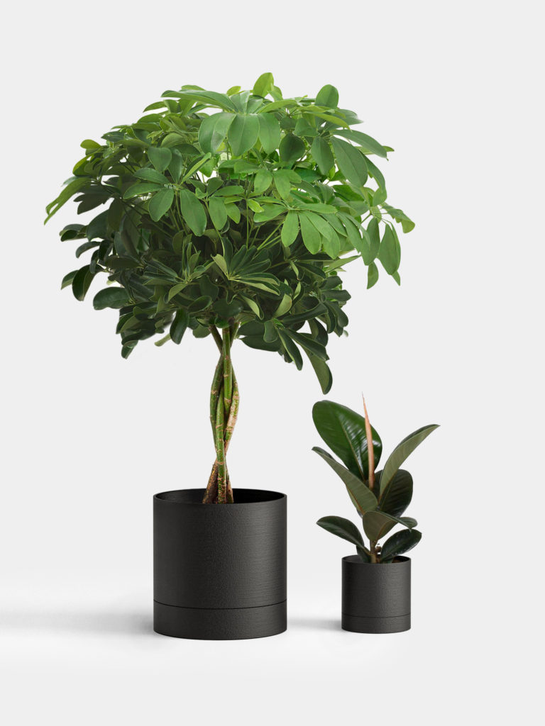 plantsomething-22-3